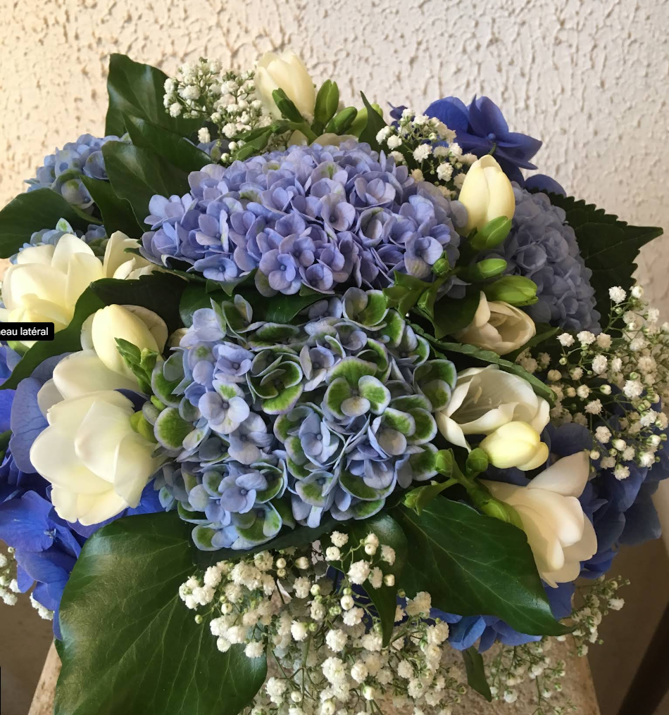 Photo de base du commerce